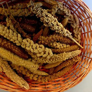 Millet basket